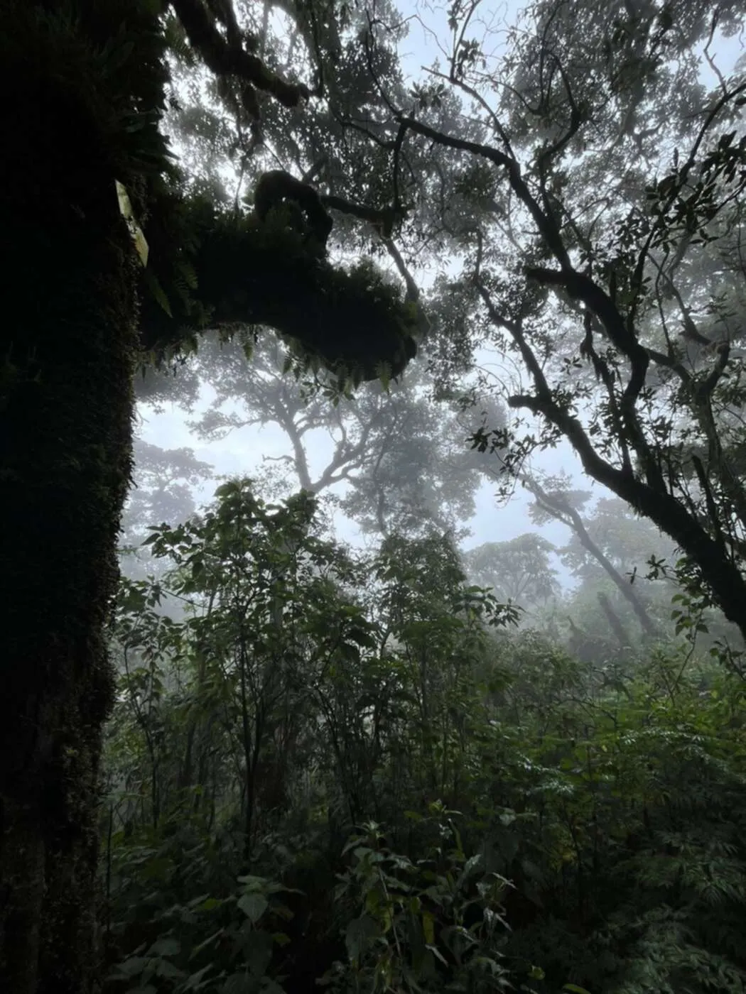Guatemala